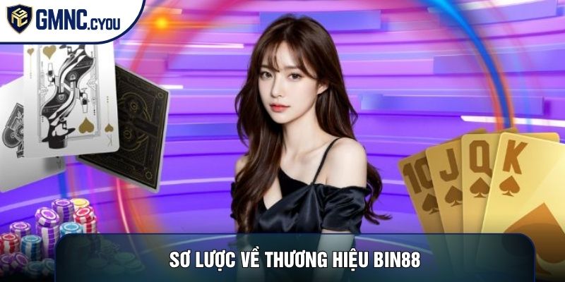Sơ lược về thương hiệu Bin88