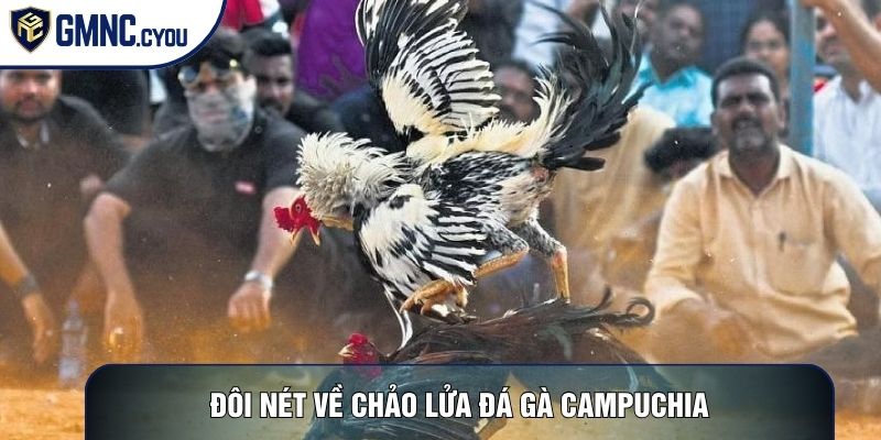 Đôi nét về chảo lửa đá gà Campuchia