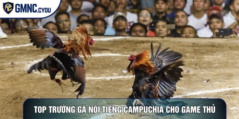 Top trường gà nổi tiếng Campuchia cho game thủ