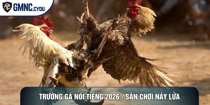 Trường Gà Nổi Tiếng 2026 - Khám Phá Sân Chơi Nảy Lửa